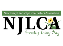 NJLCA