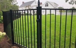 48” Texas Gate