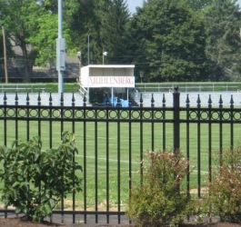 Georgetown with Rings